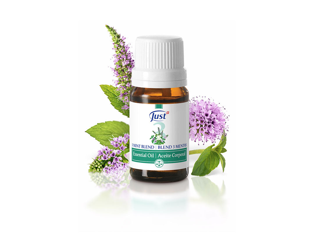 3 Mentas Concentración sin distracciones.