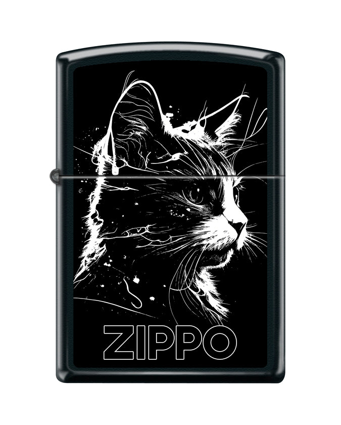 Gato negro
