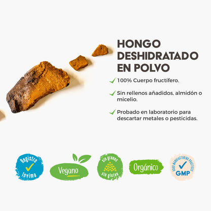 CHAGA VITALSETAS®