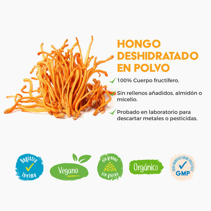 CORDYCEPS VITALSETAS®