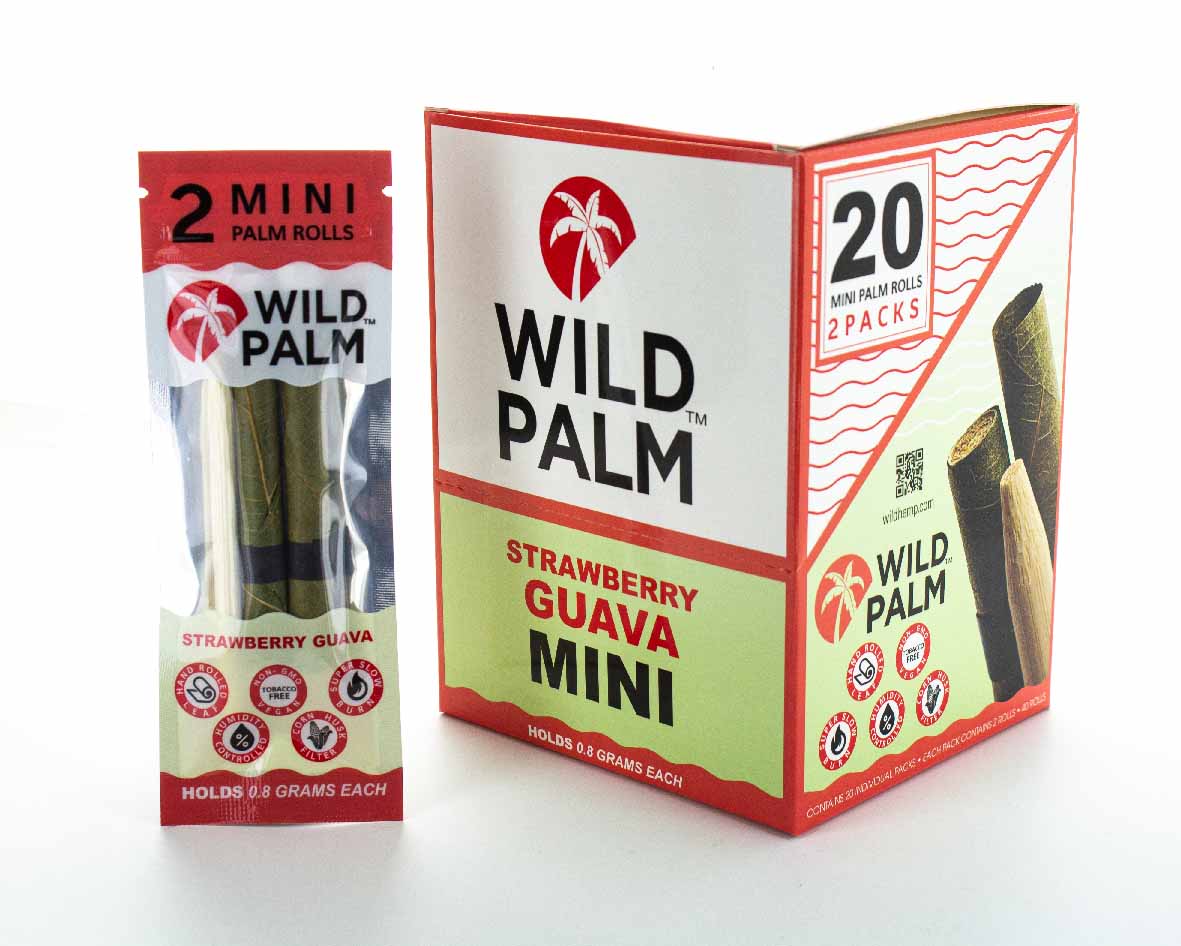 Wild Palm Cones 2 Packs