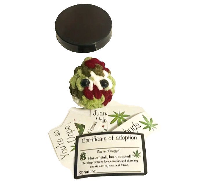 COGOLLO DE PELUCHE EN ADOPCION