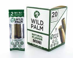 Wild Palm Cones 2 Packs