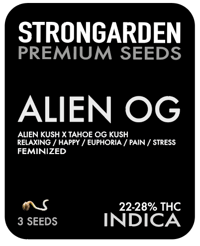 Strongarden Seeds Feminizadas