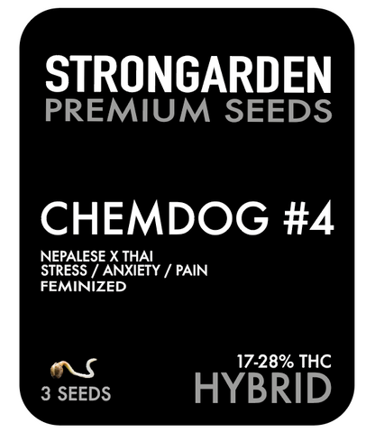 Strongarden Seeds Feminizadas