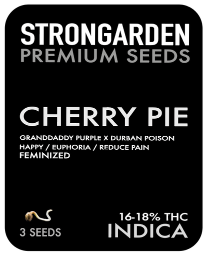 Strongarden Seeds Feminizadas