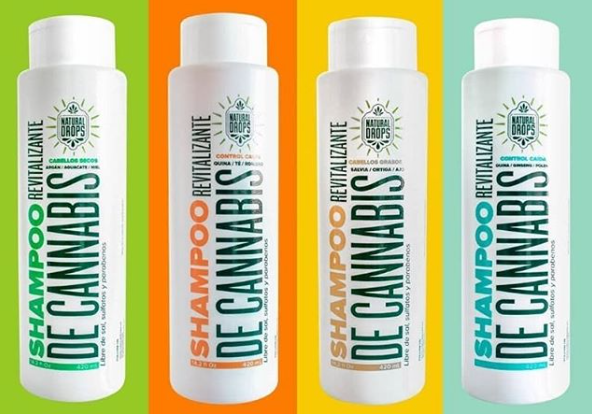 Shampoo De Cannabis