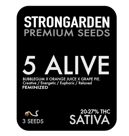 Strongarden Seeds Feminizadas