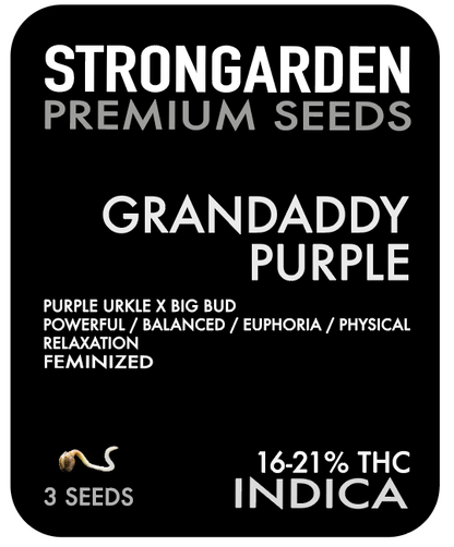 Strongarden Seeds Feminizadas