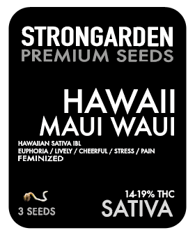 Strongarden Seeds Feminizadas