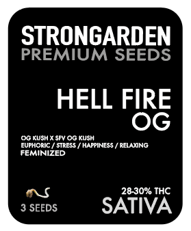 Strongarden Seeds Feminizadas