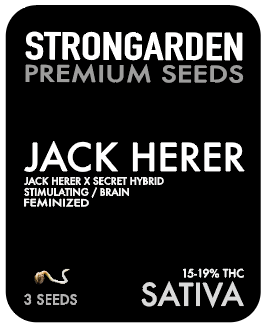 Strongarden Seeds Feminizadas