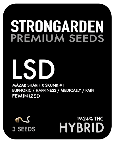 Strongarden Seeds Feminizadas