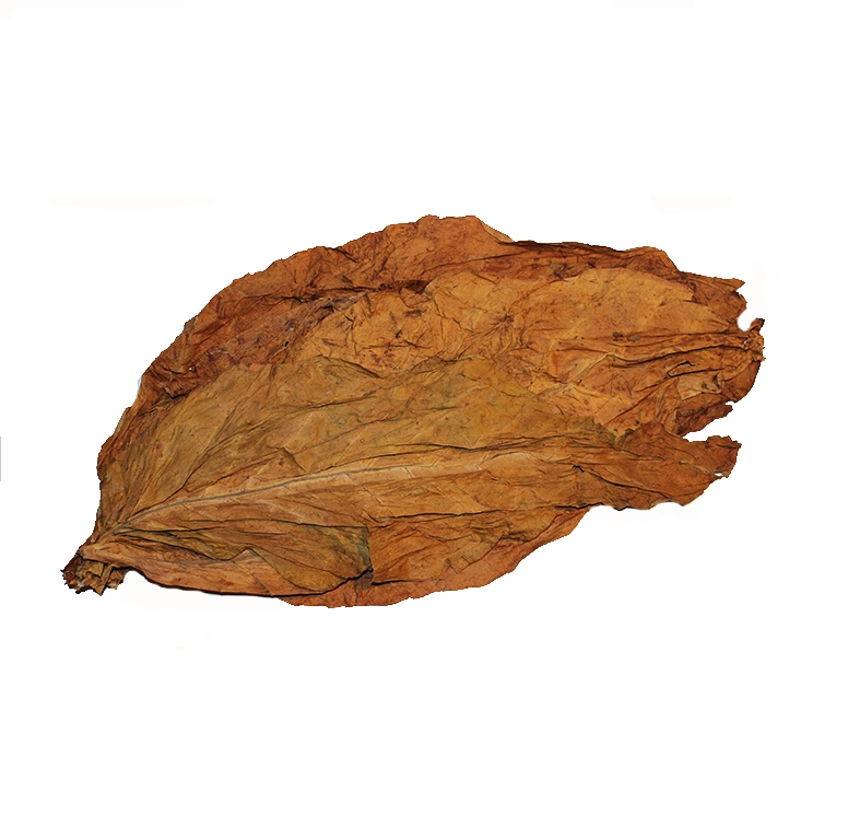 Hoja de Tabaco Colombiano
