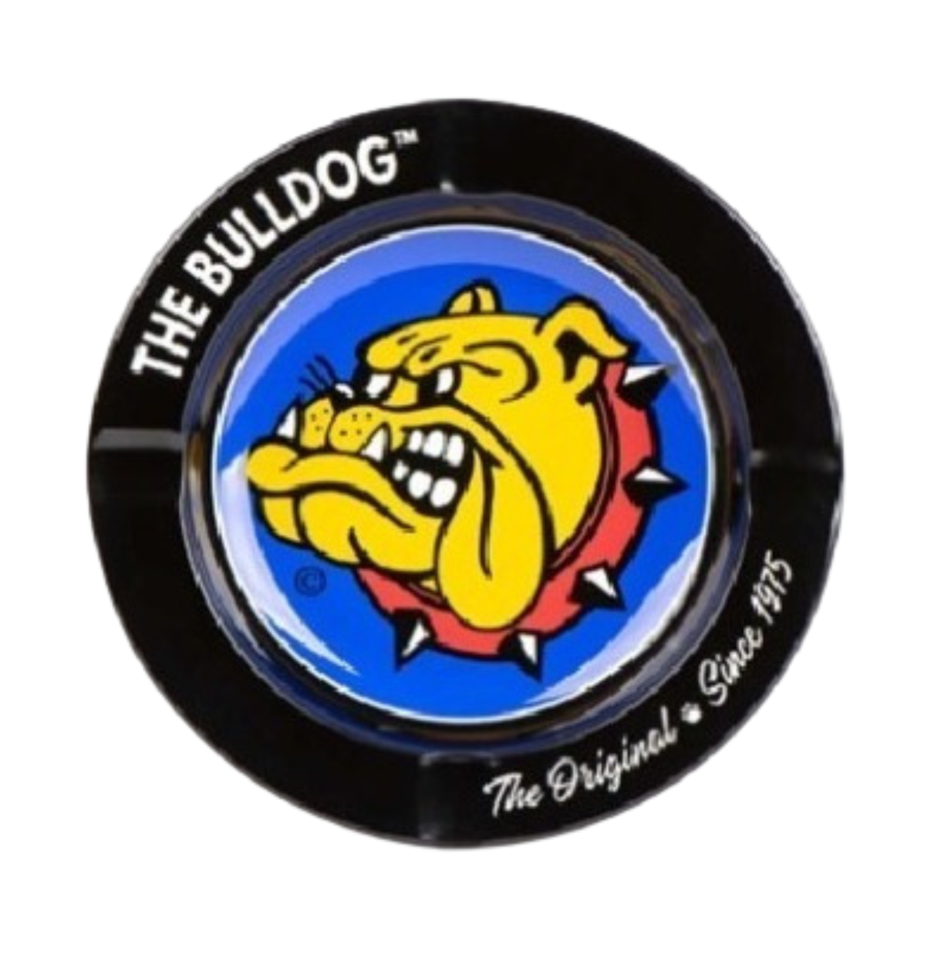 Cenicero The Bulldog