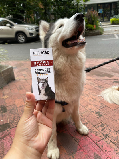 HIGH CBD 500 mg Bacon for Dogs