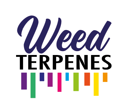 Weed Terpenes 5ML